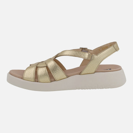 Wonders Paterna leather sandals in gold