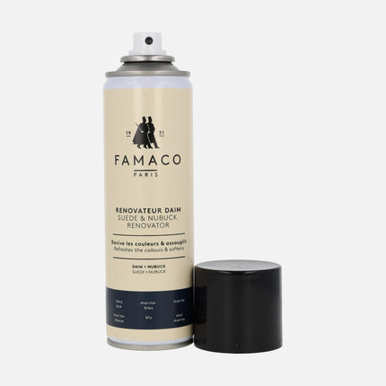 Color renovator spray for nobuck and suede leather