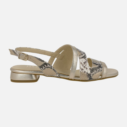 Low heel sandals in snake animal print combined with gold metal