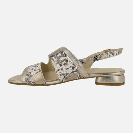 Low heel sandals in snake animal print combined with gold metal