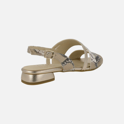 Low heel sandals in snake animal print combined with gold metal