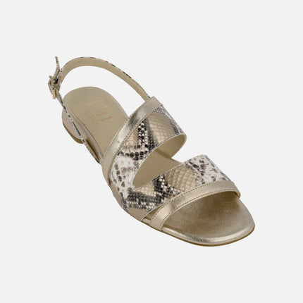 Low heel sandals in snake animal print combined with gold metal