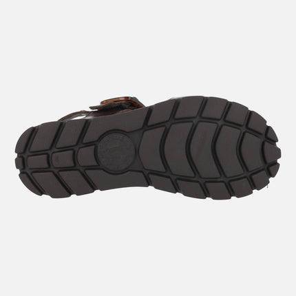 Sandalias para mujer Panama jack Sara en piel napa marrón