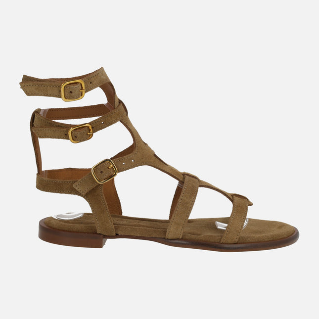 Sandalias romanas de serraje taupe con tres tiras con hebillas a la pierna
